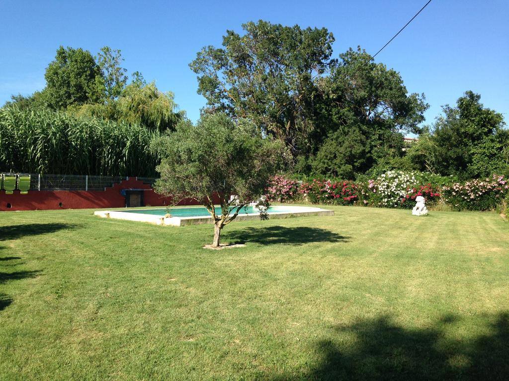 Les Jardins du Rebaut Bed & Breakfast Beziers Bagian luar foto